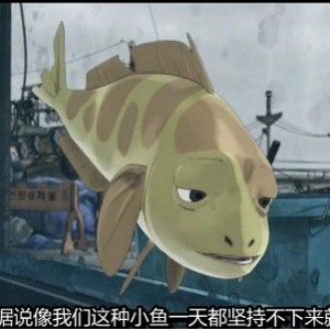 《小燕鱼：海里的正能量》-动画电影，执着追梦，社会弱肉强食，正能量传递视频大小/数量