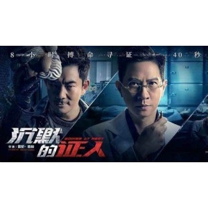 张家辉主演《证人》粤语国语字幕，好莱坞风格警匪片，大小2.2g