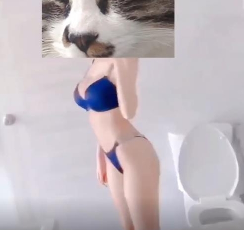 两大久妖大神-顶级网红女主播长腿黑丝超美女神