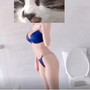 两大91大神-顶级网红女主播长腿黑丝超美女神