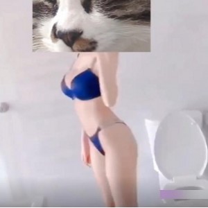 两大久妖大神-顶级网红女主播长腿黑丝超美小仙女