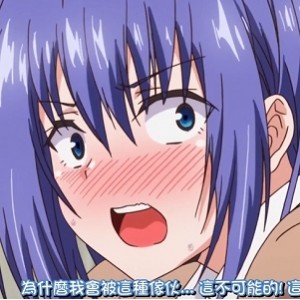 [自行打包] 枫与铃1～2 [2v+616][百度盘]