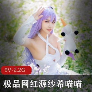网红源纱希喵喵COS美女合集，9V-2.2G视频稀缺定制