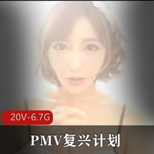PMV复兴计划：小合集20V-6.7G，咬一口兔娘、亚籍女Y作品，巨囊症精彩剪辑，三人游、极速抽C，颜S，观看