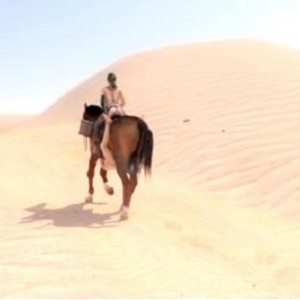 口味重！BreakingTheQuiet中的静静与马，2V-5.5G，人与马震撼互动下载观看