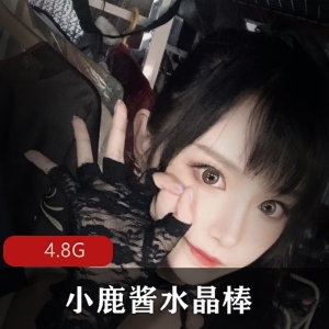 小鹿酱水晶棒资源合集，4.8G视频，御姐女神虎牙直播，颜值高身材好榨汁王者