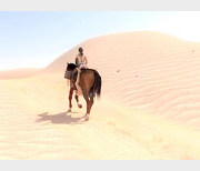 BreakingTheQuietPart:静静与马,2V-5.5G,口味重,人与马