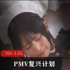 PMV复兴计划：藏经阁新年精品16V-3.2G视频特拍剪辑，八神摇口B进入女主观看