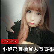 小妲己甜甜圈吃货私人定制26G视频合集