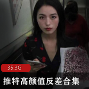 推特高颜值美女合集，143套35.3G资源，性感可爱清纯狂野应有尽有