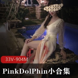 迷人模特PinkDolPhin魅力合集：33个视频尽显完美身材与马甲线，总大小904MB，粉丝必备！