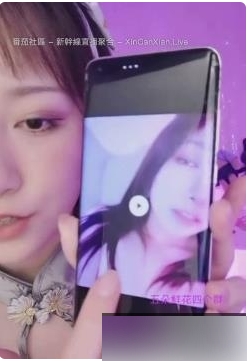 刘斯琦五部商品