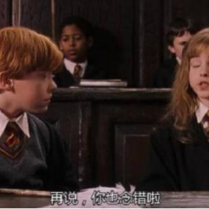 集约观影：2001年哈利波特系列电影英语wai gua中字版25G1080PMKV