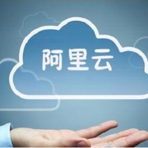 《暴君：以HTTPS从阿里云下载，联机体验经典横版动作游戏》