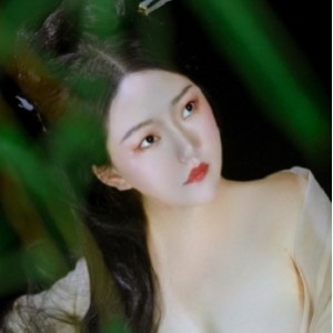 推特精选古风系列合集