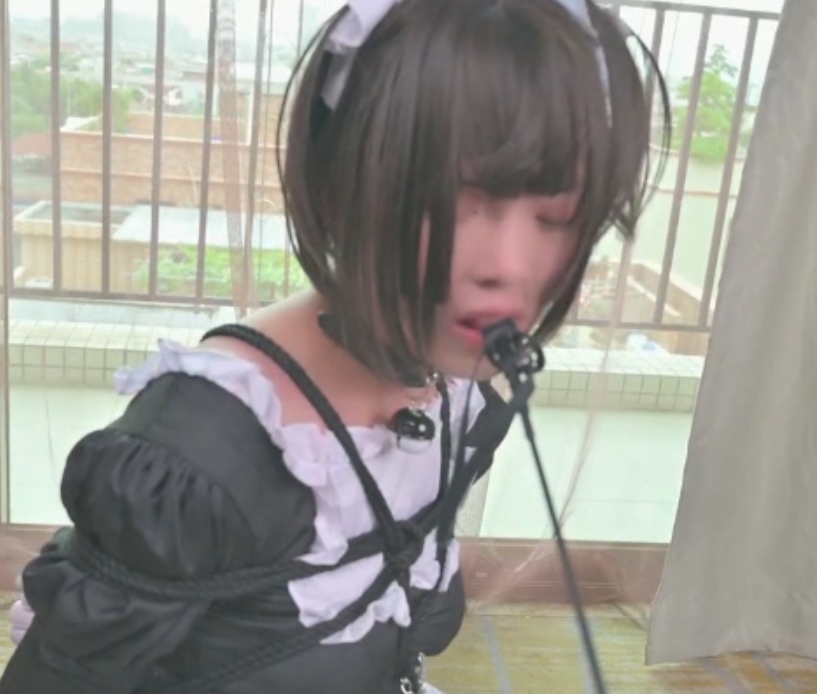 伪娘束缚百度盘资源合集13V17.7G，鹿角与猫爪主题