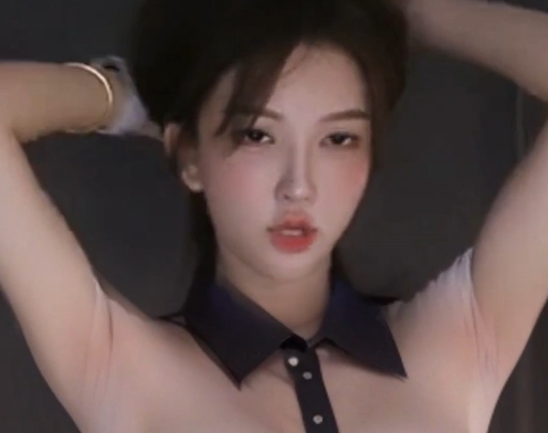 AI去衣资源超大合集二子爷最新视频合集300V500G，技术展示与自整理