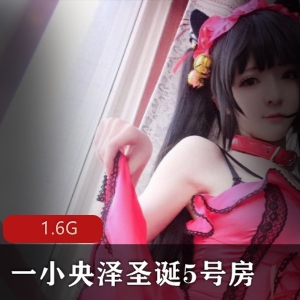 高颜值女神合集+圣诞5号房+火爆资源+一小央泽+视频数量不详+1.6G+包含蜘蛛、糯米元宵等佳作