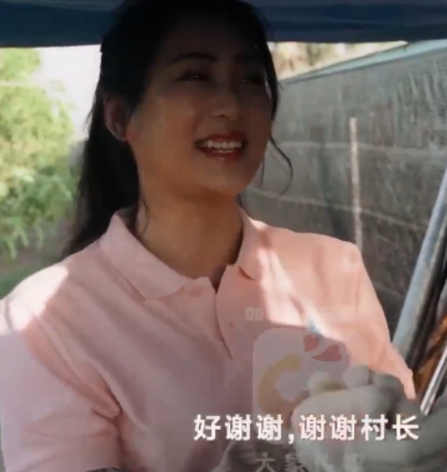 百度各类传媒新合集27部9.1G，内容丰富多样