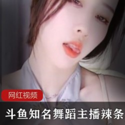 斗鱼知名舞蹈主播_辣条sss土豪定制作品合集