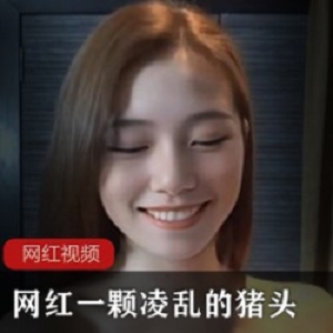 网红一颗凌乱的猪头作品一部