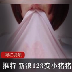 某推+新浪123变小猪猪作品七部