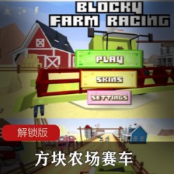 方块农场赛车解锁版