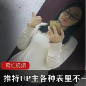 推特UP主各种表里不一美女作品合集