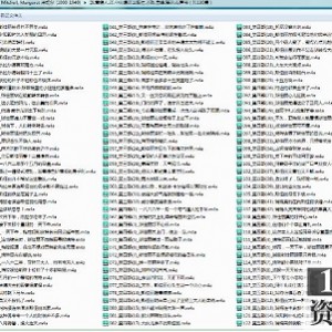 有声小说《乱世佳人》喜马拉雅FM