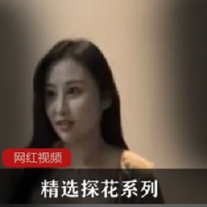 精选探花系列作品一部