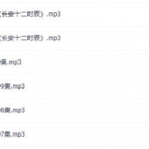 有声书《长安十二时辰》喜马拉雅FM