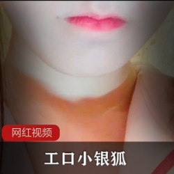 工口小银狐作品一部