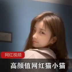 高颜值网红猫小猫作品两部