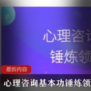 心理咨询基本功锤炼领悟课程最新内容