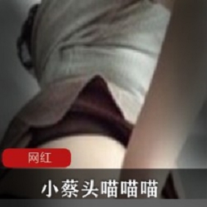 小蔡头喵喵喵作品合集