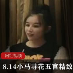 8.14小马寻花五官精致甜妹作品一部