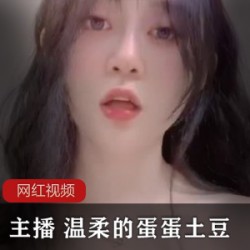 极品网红主播+温柔的蛋蛋土豆作品一部