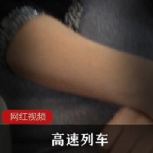 高速列车作品一部