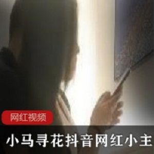 小马寻花抖音网红小主播作品一部