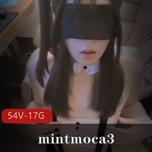 OnlyFansmintmoca3TS合集54部17G超润滑自嗨