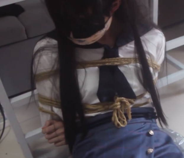 盘界凉叶子指教合集32.7G