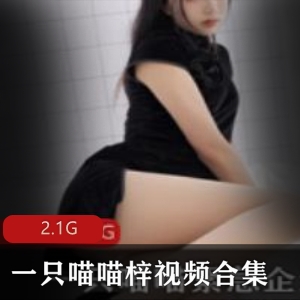 pr社喵喵梓黑丝和服合集21G紧急企划限定版