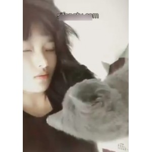 推特高倩绝密展示视频75部458M珍藏版