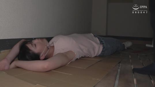 暗黑王子FC2迷玩合集105部325G优质收录