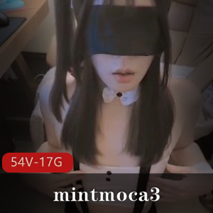 OFmintmoca3珍藏TS视频54部17G